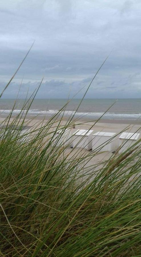 Luxueuze Stacaravan In Bredene Met Eigen Terras En Tuintje Eksteriør billede